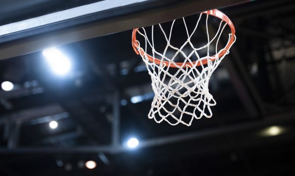 Basketball Net Installation in Lake Zurich