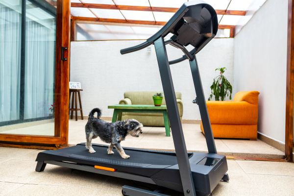 Treadmill Installation in Lake Zurich