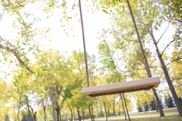 Tree Swing Installation in Lake Zurich