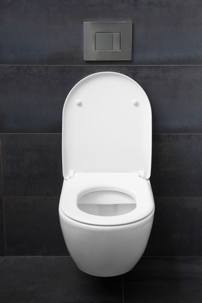 Toilet Lid Installation in Lake Zurich