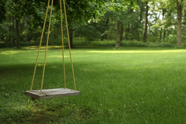 Rope Swing Installation in Lake Zurich