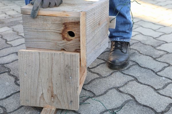 Birdhouse Mounting in Lake Zurich