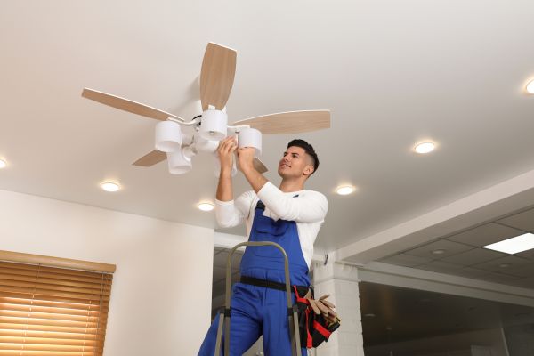 Ceiling Fan Bulb Replacement in Lake Zurich